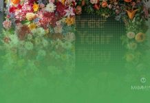 Kenapa Papan Karangan Bunga Masih Relevan di Era Digital Kenapa Papan Karangan Bunga Masih Relevan di Era Digital