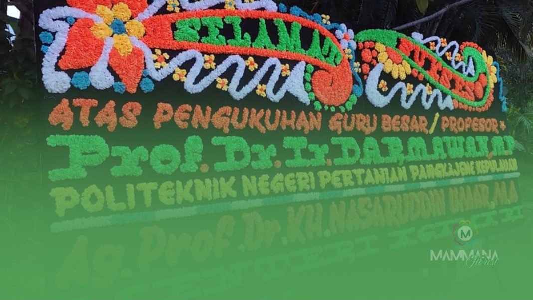 Ukuran Papan Karangan Bunga dan Cara Memilih yang Tepat Ukuran Papan Karangan Bunga dan Cara Memilih yang Tepat