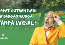 Kantor Anda Sering Pesan Karangan Bunga? Saatnya Ubah Jadi Tambahan Penghasilan Kantor Anda Sering Pesan Karangan Bunga Saatnya Ubah Jadi Tambahan Penghasilan